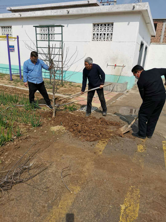 教师植树图片.jpg