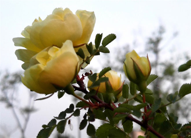 image011.jpg