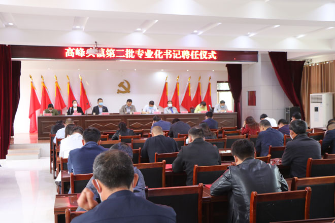 专业化书记聘用-038.jpg