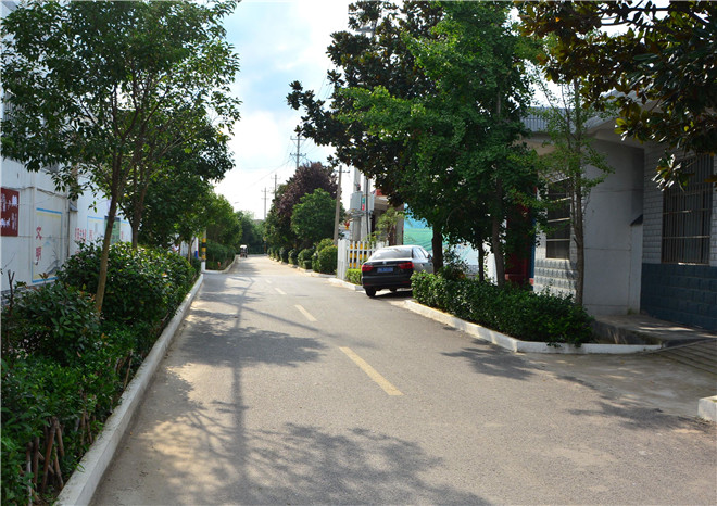 B90_6536_爱奇艺.jpg
