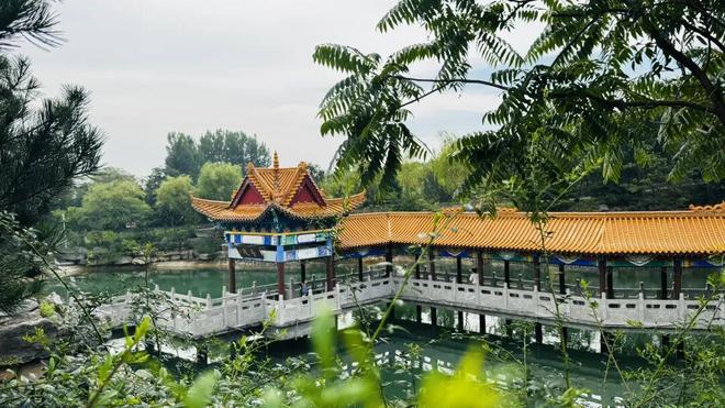 下载 (2).jpg 下载 (2).jpg