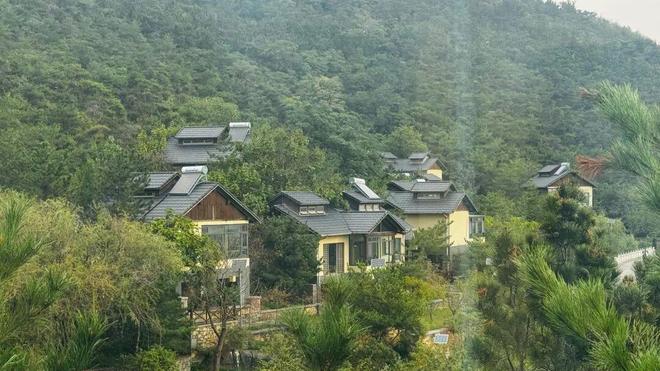 下载 (4).jpg 下载 (4).jpg